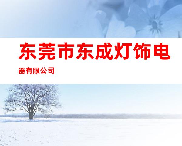东莞市东成灯饰电器有限公司