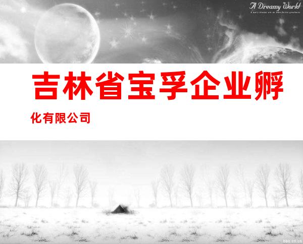吉林省宝孚企业孵化有限公司