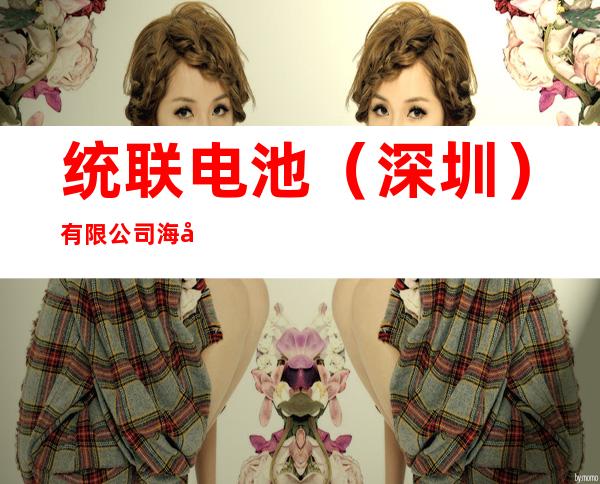 统联电池（深圳）有限公司海口分公司